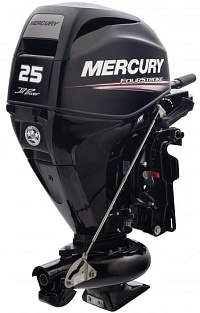 Mercury Jet 25 MLH GA EFI